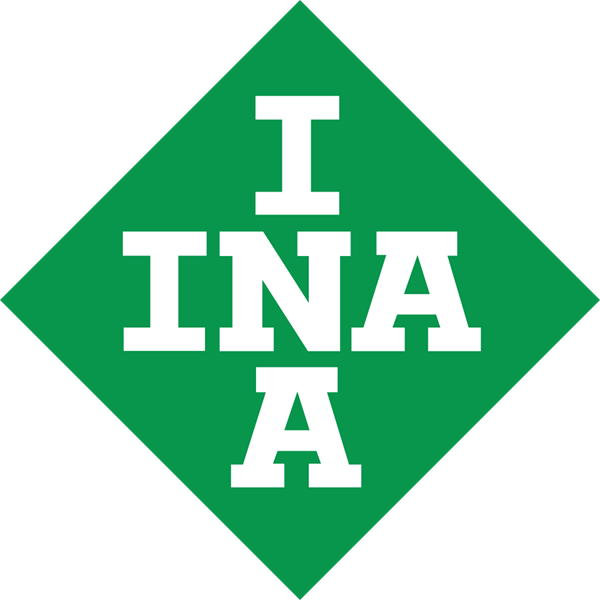 Lineárne riešenie INA