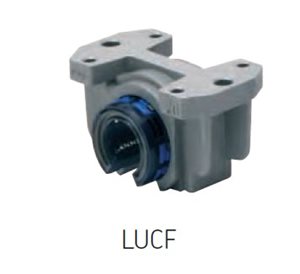 9392_lucf.jpg