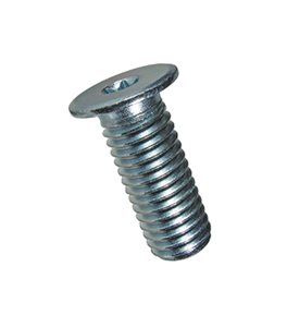 bn1206_zn.jpg